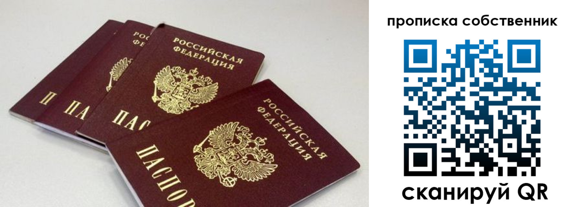 где прописаться в Палласовке