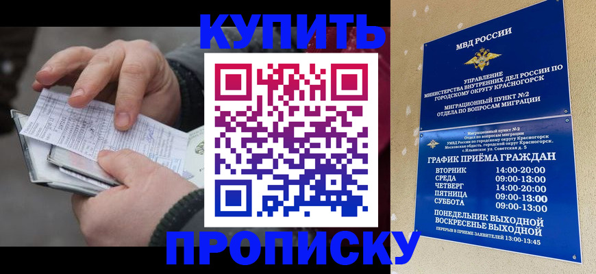 временная регистрация недорого в Палласовке